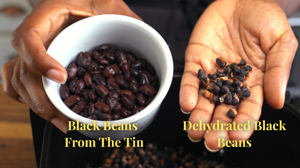Photo of Black beans from Can vs Dehydrated Black Beans